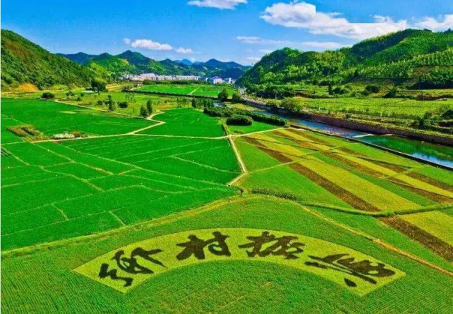 争取战略主动 加快全面振兴